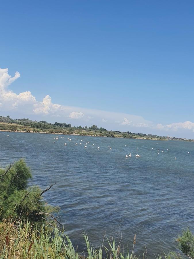 En Camargue Le Grau-du-Roi